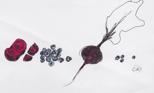 Beets and blueberries drawing
